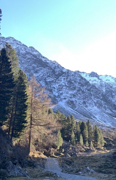 Nature as an Inspiration