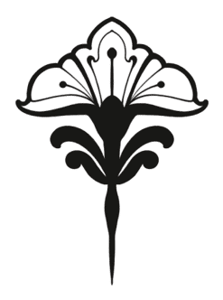 newsletter detail